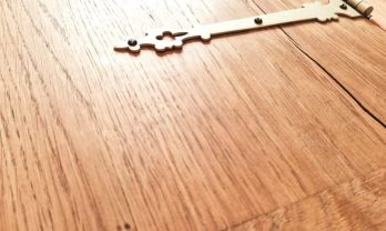 FB_IMG_1697395087634