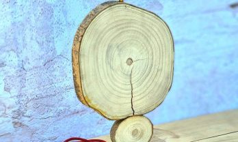 FB_IMG_1697261229866