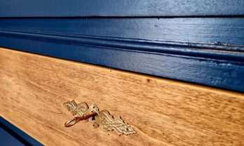 FB_IMG_1697261300639